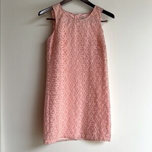 Ann Taylor Loft Shift Dress